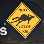 Flying kangaroos - Летающие кенгуру