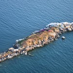 Island shaped like a crocodile ~ Остров-крокодил