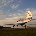 Yak-52 at Bolshoe Gryzlovo airfield ~ Як-52 на аэродроме Большое Грызлово