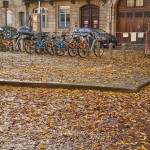Autumn in Bordeaux ~ Осень в Бордо
